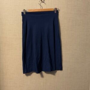 Chic Women's Navy Mini Skirt